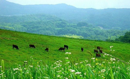 大滩镇北梁村