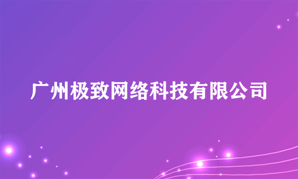 广州极致网络科技有限公司