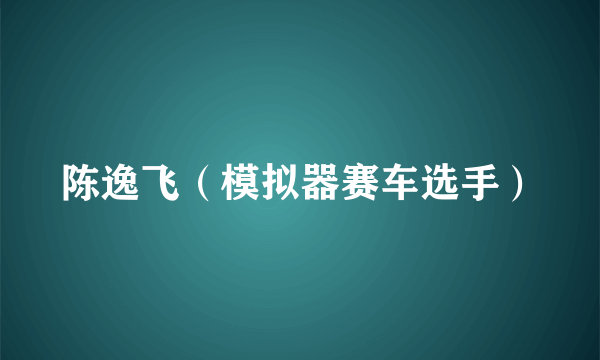 陈逸飞（模拟器赛车选手）