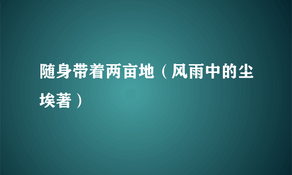 随身带着两亩地（风雨中的尘埃著）