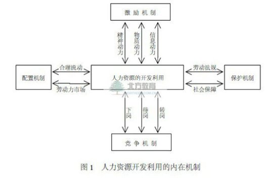 人力资本投资