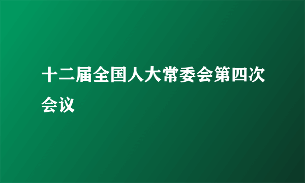 十二届全国人大常委会第四次会议