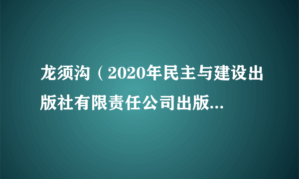 龙须沟（2020年民主与建设出版社有限责任公司出版的图书）