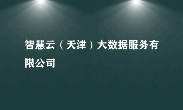 智慧云（天津）大数据服务有限公司