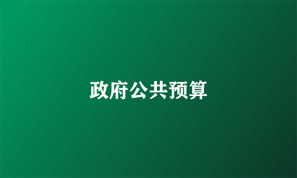 政府公共预算