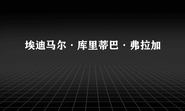 埃迪马尔·库里蒂巴·弗拉加