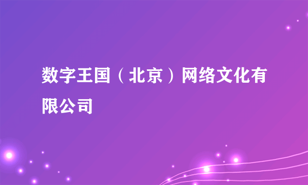 数字王国（北京）网络文化有限公司