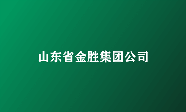 山东省金胜集团公司