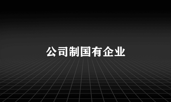 公司制国有企业