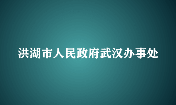 洪湖市人民政府武汉办事处