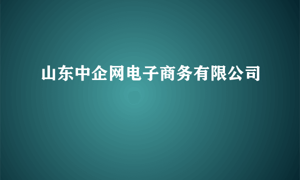 山东中企网电子商务有限公司