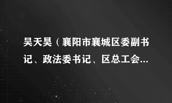 吴天昊（襄阳市襄城区委副书记、政法委书记、区总工会主席、法学会会长）