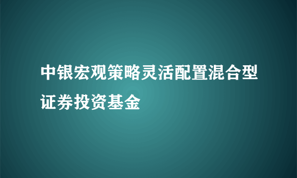 中银宏观策略灵活配置混合型证券投资基金