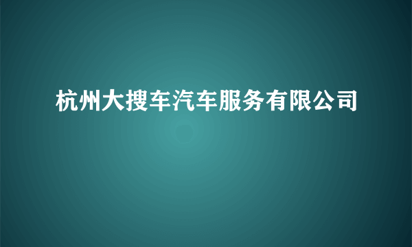 杭州大搜车汽车服务有限公司