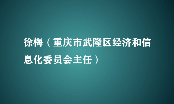 徐梅（重庆市武隆区经济和信息化委员会主任）