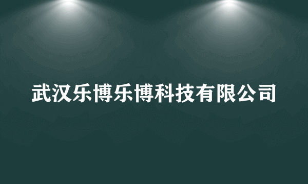 武汉乐博乐博科技有限公司