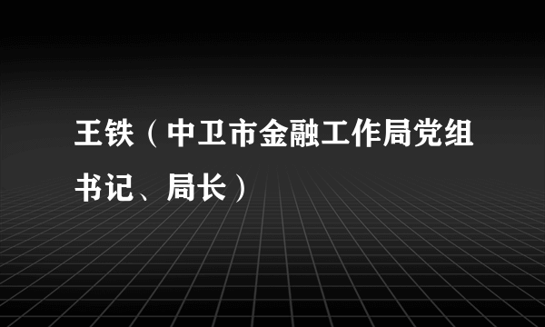 王铁（中卫市金融工作局党组书记、局长）