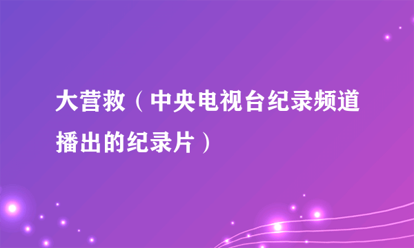 大营救（中央电视台纪录频道播出的纪录片）