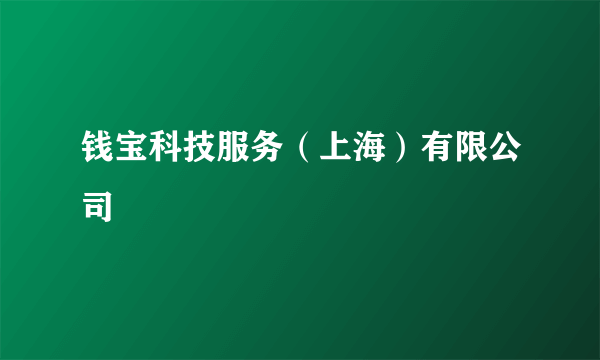 钱宝科技服务（上海）有限公司