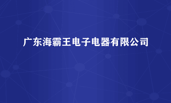 广东海霸王电子电器有限公司