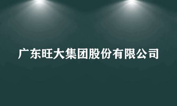 广东旺大集团股份有限公司