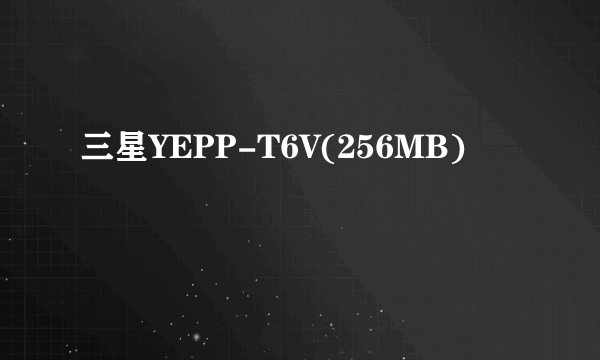 三星YEPP-T6V(256MB)