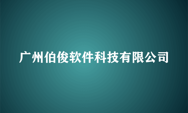 广州伯俊软件科技有限公司