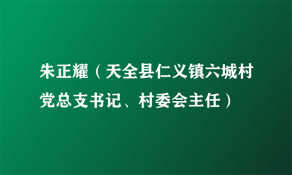 朱正耀（天全县仁义镇六城村党总支书记、村委会主任）