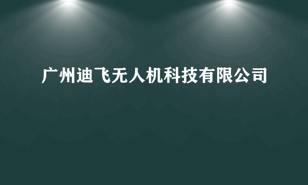 广州迪飞无人机科技有限公司