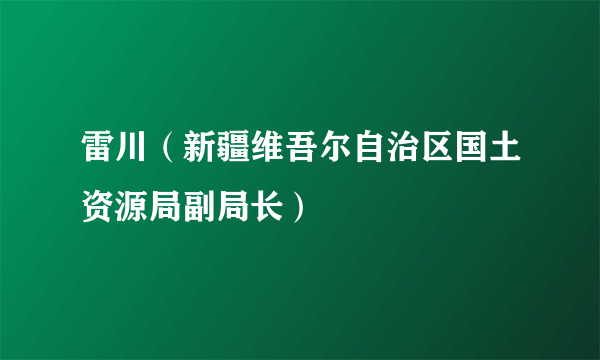 雷川（新疆维吾尔自治区国土资源局副局长）