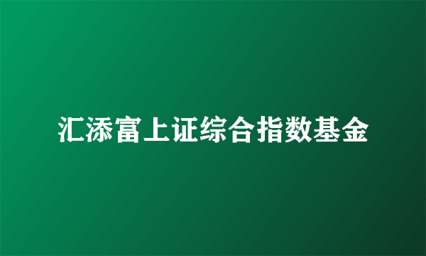 汇添富上证综合指数基金