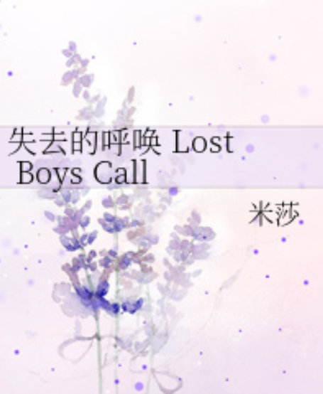 失去的呼唤 Lost Boys Calling