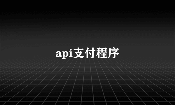 api支付程序