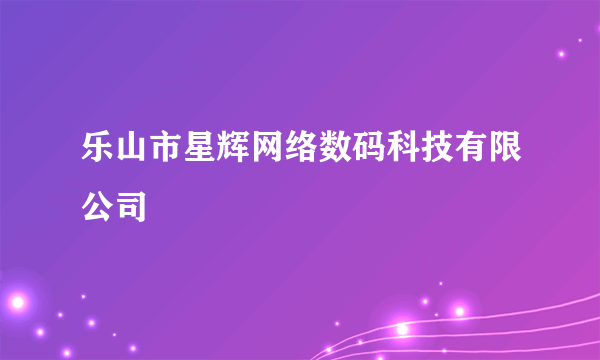 乐山市星辉网络数码科技有限公司