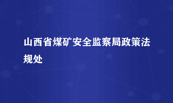 山西省煤矿安全监察局政策法规处