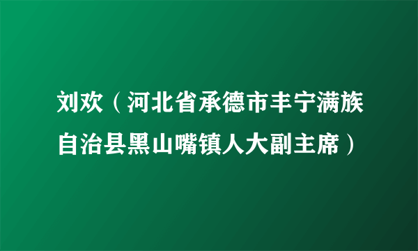 刘欢（河北省承德市丰宁满族自治县黑山嘴镇人大副主席）