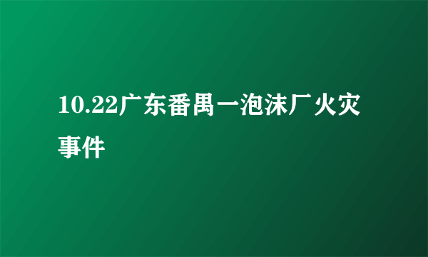 10.22广东番禺一泡沫厂火灾事件