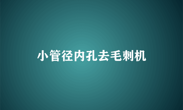 小管径内孔去毛刺机