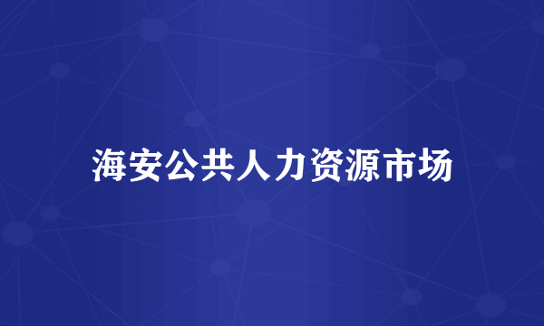 海安公共人力资源市场