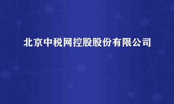 北京中税网控股股份有限公司