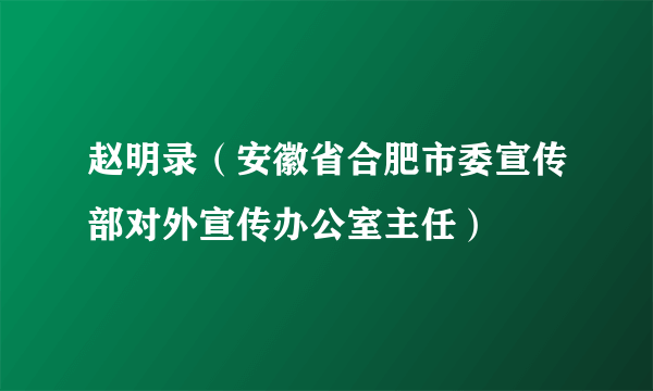 赵明录（安徽省合肥市委宣传部对外宣传办公室主任）