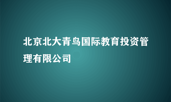 北京北大青鸟国际教育投资管理有限公司