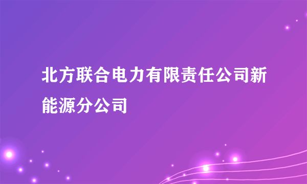 北方联合电力有限责任公司新能源分公司