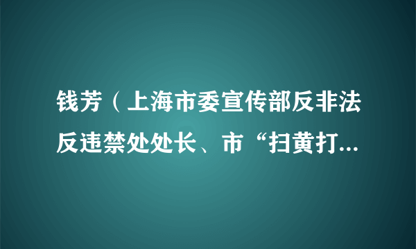 钱芳（上海市委宣传部反非法反违禁处处长、市“扫黄打非”暨文化市场管理办公室副主任）