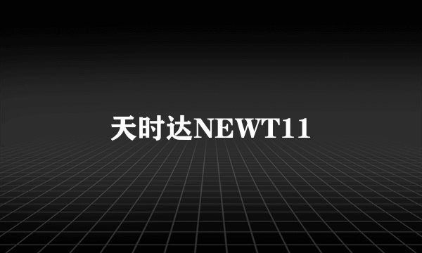 天时达NEWT11