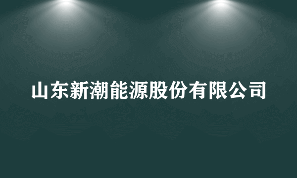 山东新潮能源股份有限公司