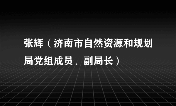 张辉（济南市自然资源和规划局党组成员、副局长）