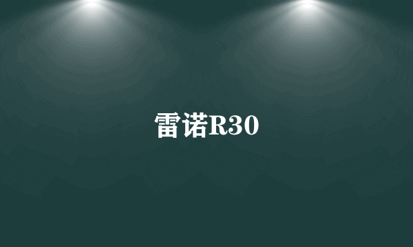 雷诺R30