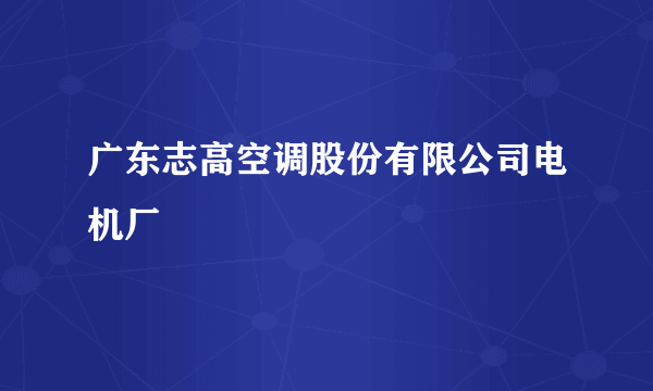 广东志高空调股份有限公司电机厂