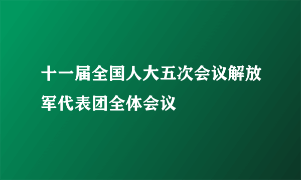 十一届全国人大五次会议解放军代表团全体会议